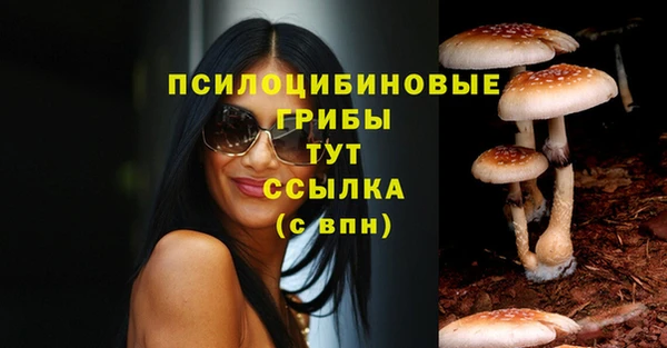COCAINE Алексеевка