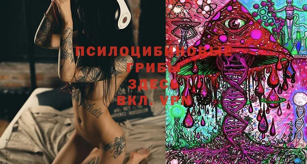 прущие крисы Алзамай