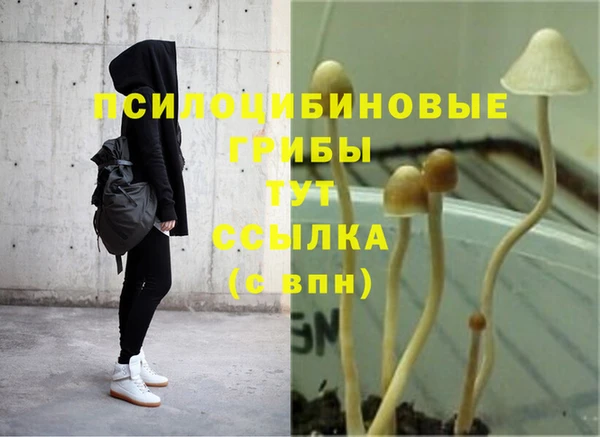 COCAINE Алексеевка