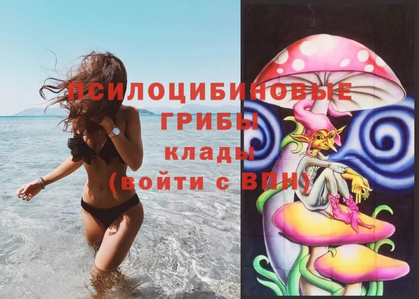 прущие крисы Алзамай
