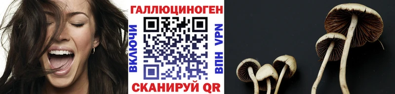 Галлюциногенные грибы мухоморы  купить   ссылка на мегу ссылка  Пыталово 